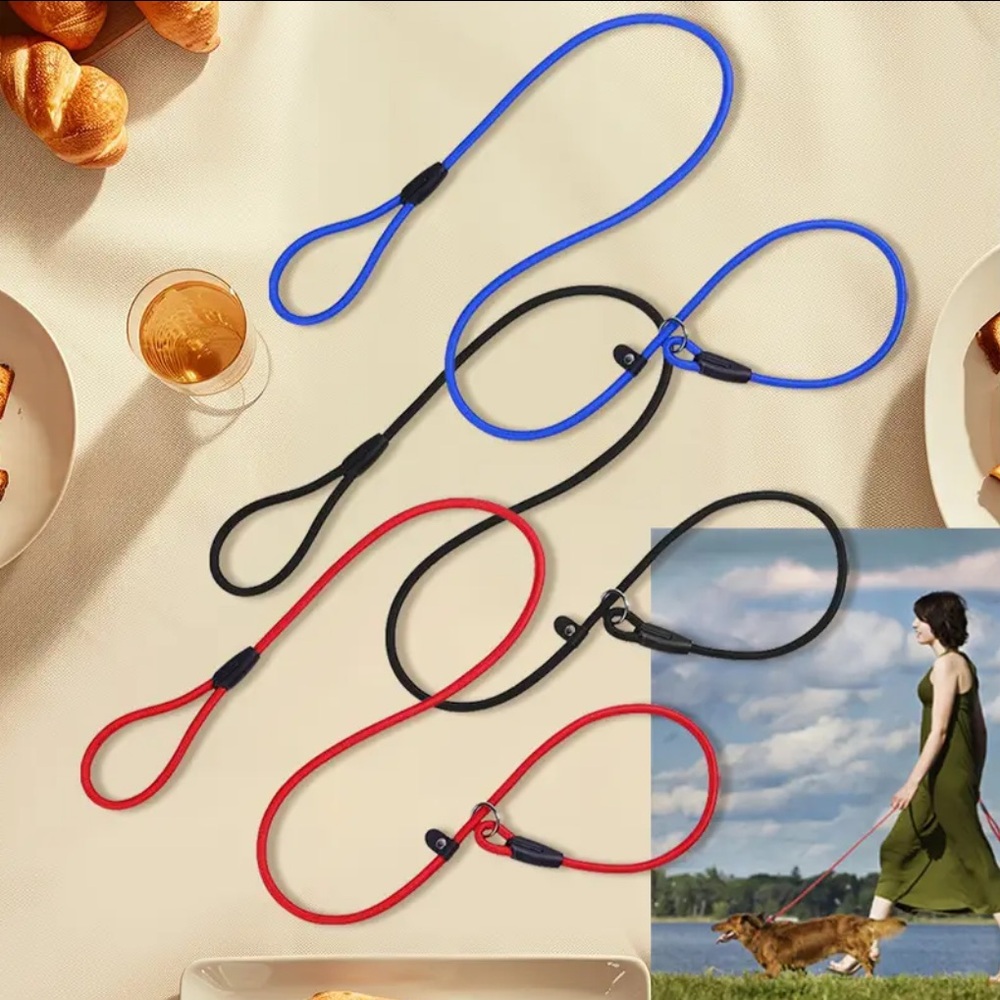 Dog Slip Nylon Leash 🪢 CHOOSE COLOR~ 5 Feet Long Black/Red/Blue